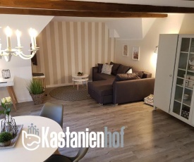 Neu renovierte Ferienwohnung mit Poolhaus & Sauna auf dem Bauernhof