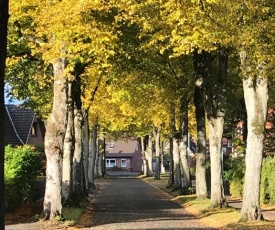 Ferienwohnung Am Holzfeld