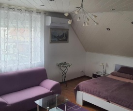 Nettes 2- Zimmer Apartment