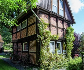 Heritage Holiday Home In Wienhausen near River